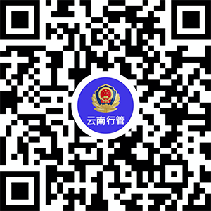 云南省娱乐特行行政许可备案管理服务系统